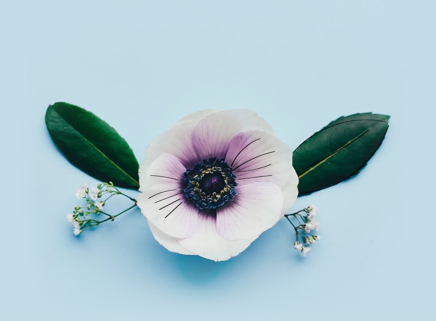 Natura e Responsabilità sono i nostri valori