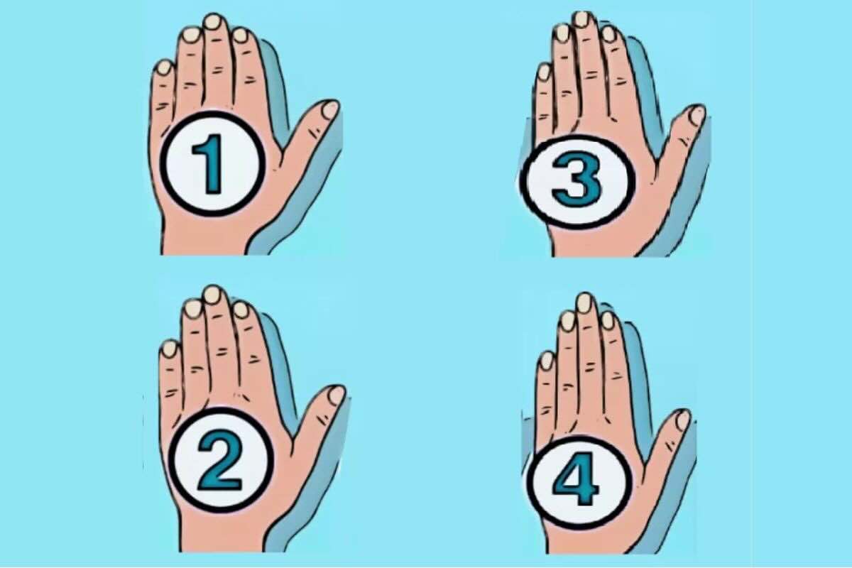 test mano prova anche tu